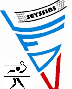 Logo les fous du volant Seyssins