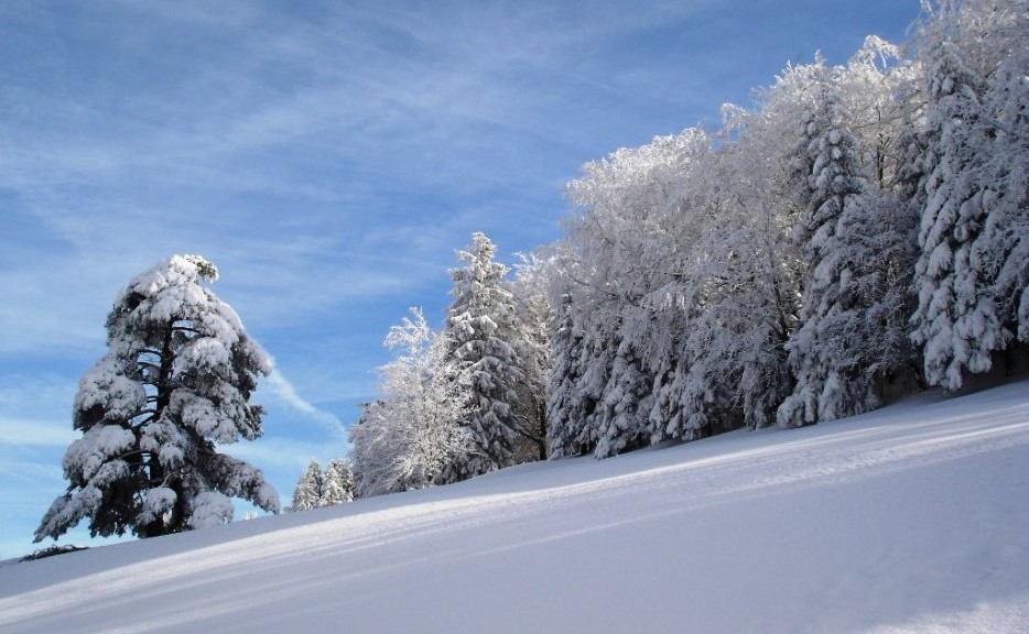 Vacances d'hiver